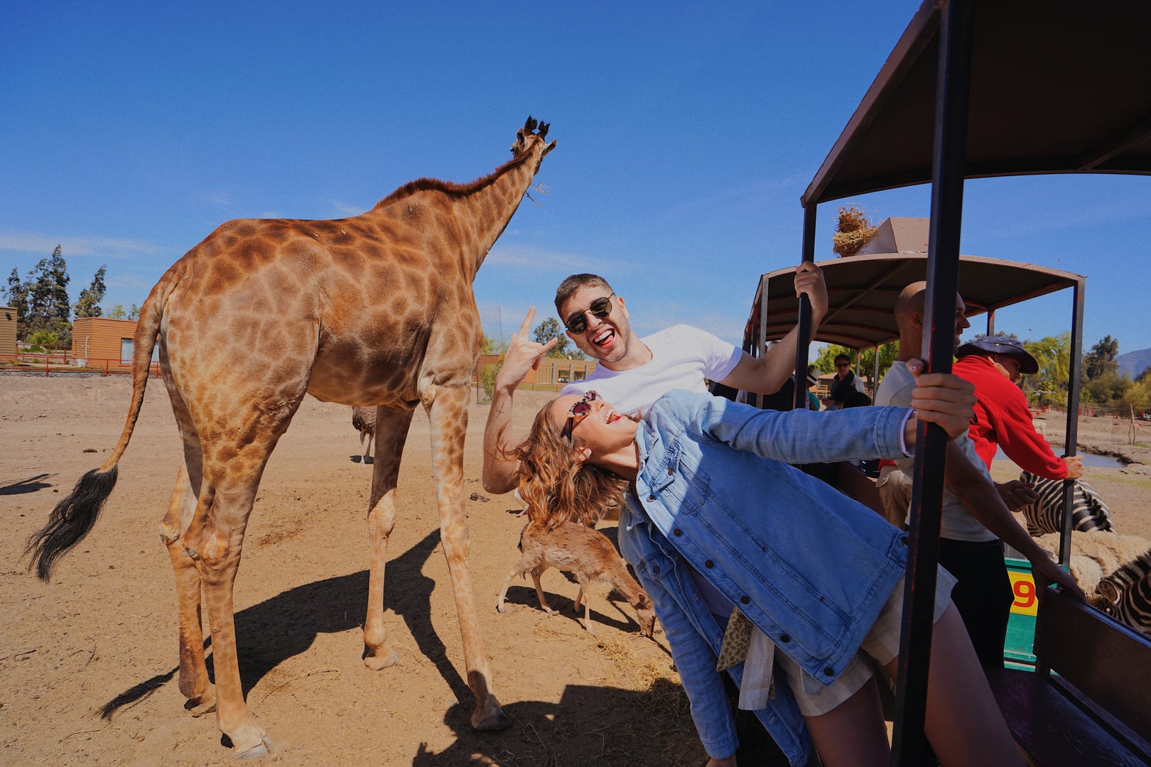 Aventura no Parque Safari