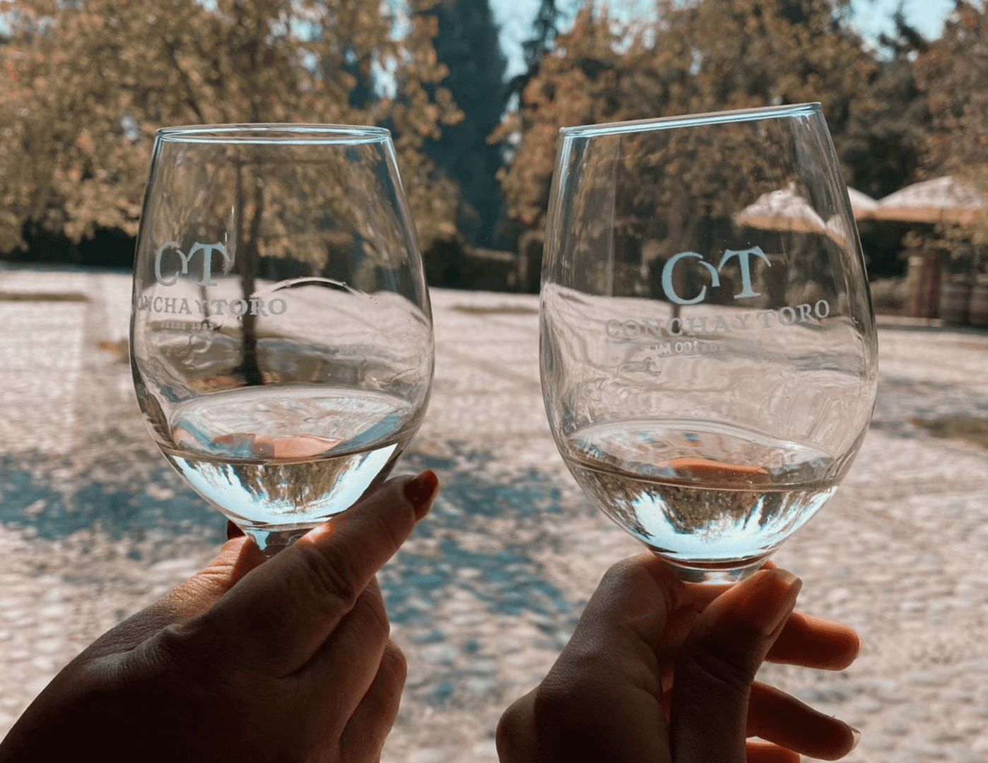 Vinícola Concha y Toro Clássico