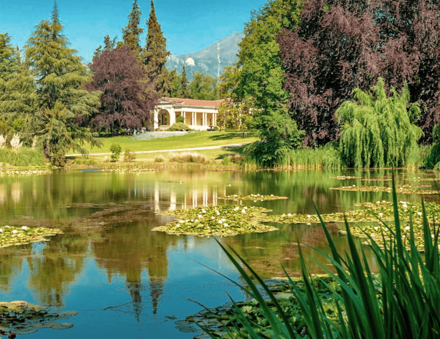 Vinícola Concha y Toro Tour Marques