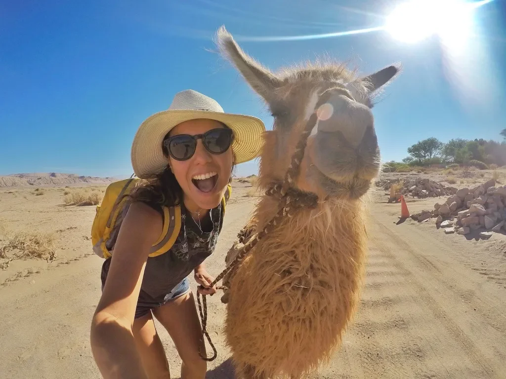 Caravana de Lhamas no Atacama