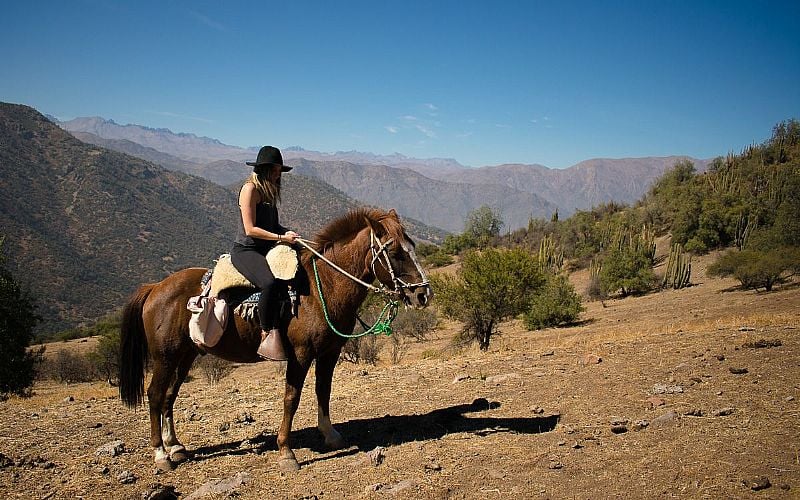 Cavalgadas - Cordillera de Sal