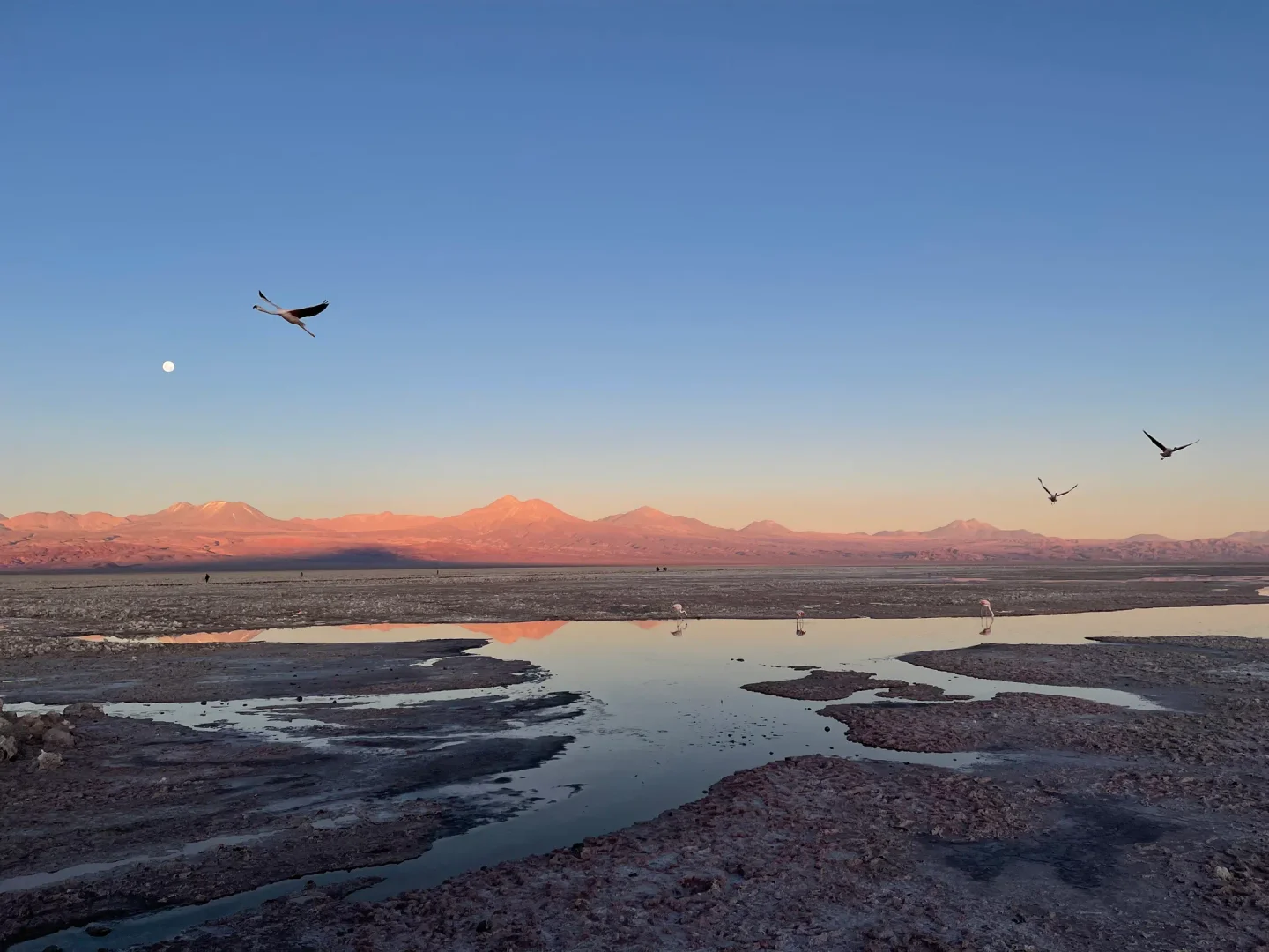 Mirante Piedras Rojas e Laguna Tuyasto