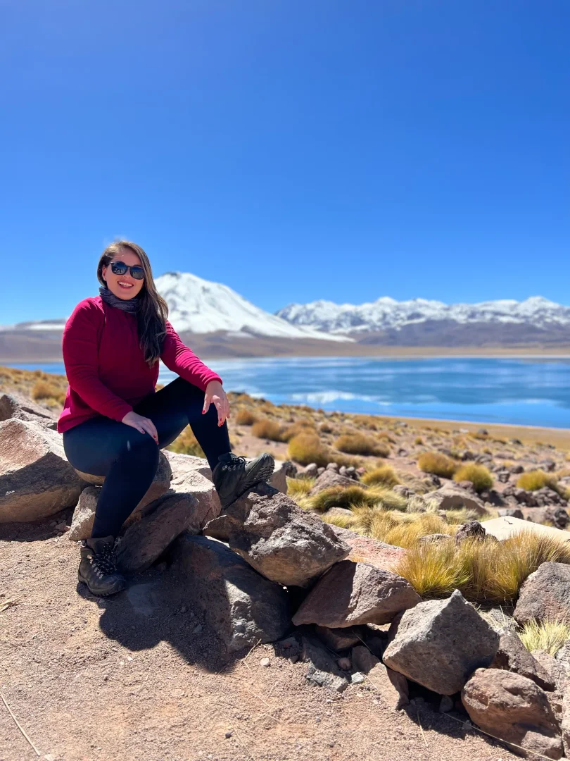 Piedras Rojas e Lagunas Altiplânicas