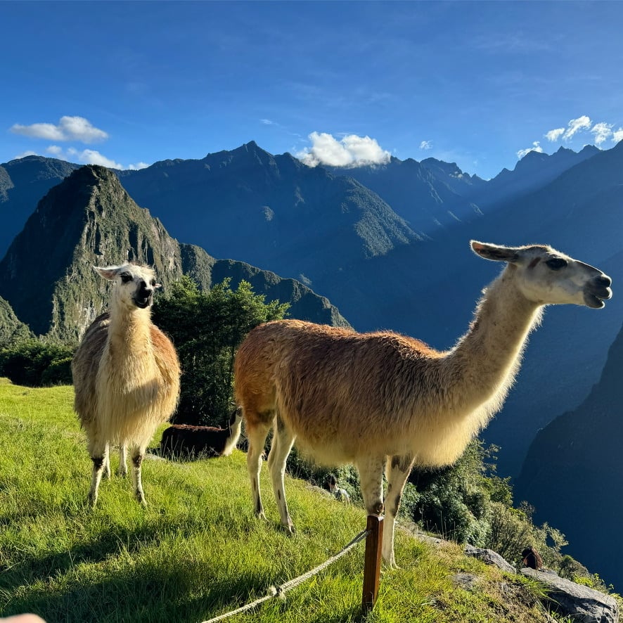 Glória nos Andes com Machu Picchu + Valle Sagrado 2D/1N