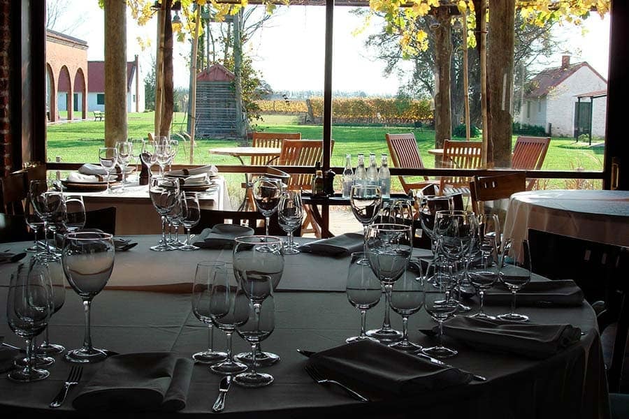 Vinícola Bouza – Visita Guiada + Degustação de Vinhos