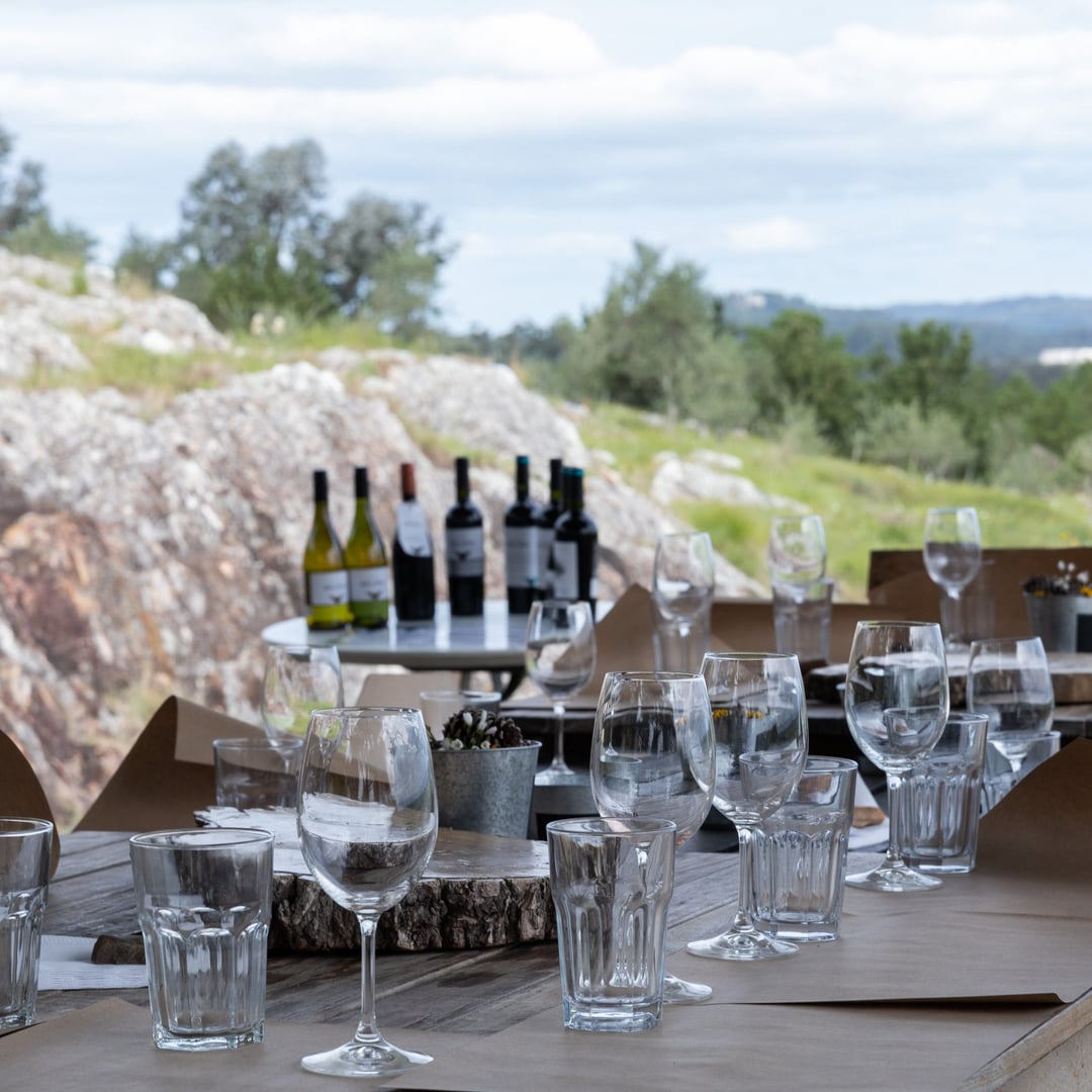 Bodega Alto de la Ballena – Visita Guiada + Degustações + Experiências Gourmet