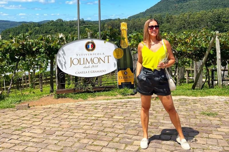 Tour Vinícola Jolimont + Sabores