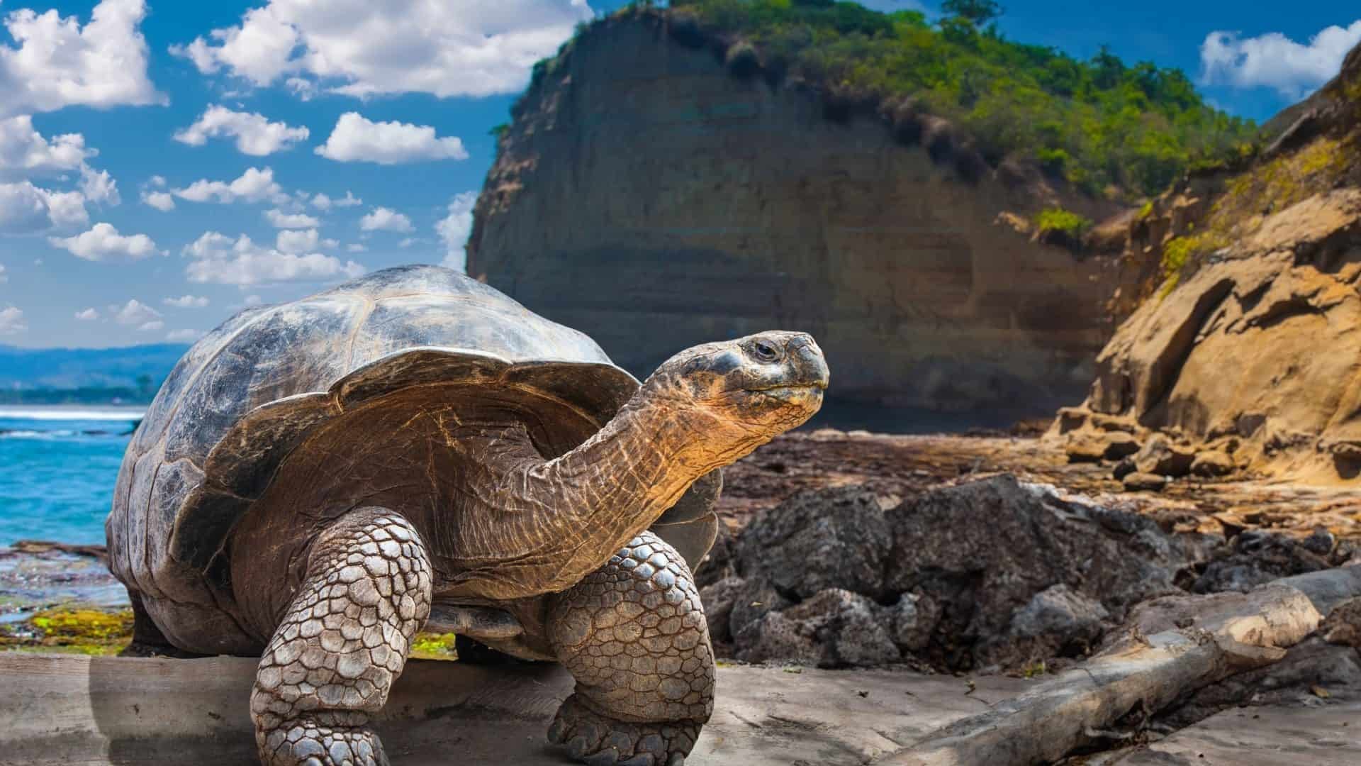 7 destinos no mundo que provocam experiências transformadoras