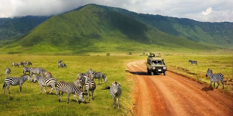 🇿🇦 ️ÁFRICA DO SUL